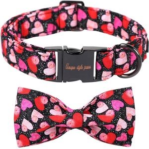 Valentine's Day Dog Collar with Bow